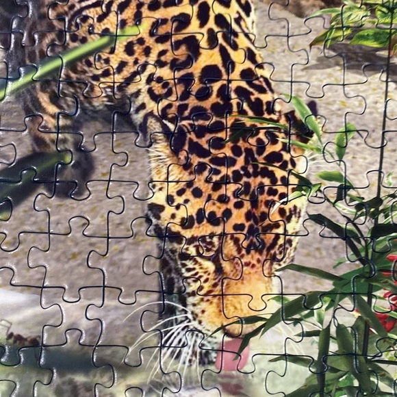 Ravensburger 1000 piece puzzle 'Tropical Impressions' jungle scene leopards - Picture 2 of 7